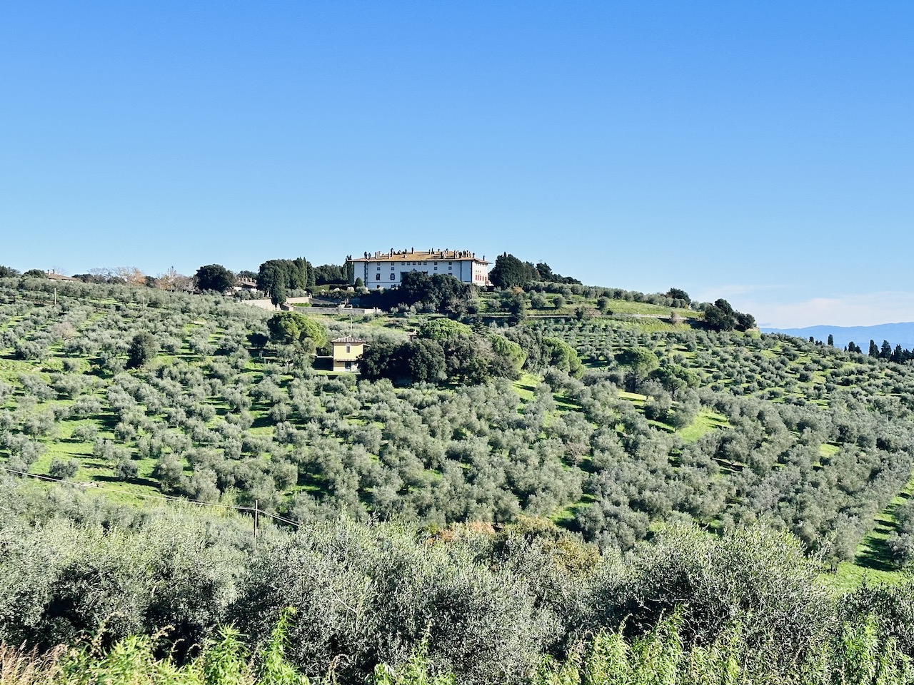 Villa La Ferdinanda at Artimino surrounded by olive groves, Tuscany