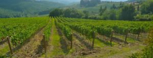 super tuscan wine list