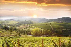 tuscan wine tours by Angie