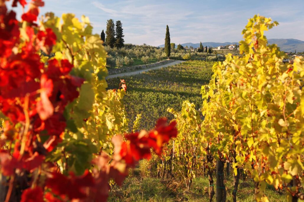 special tuscan wine tour