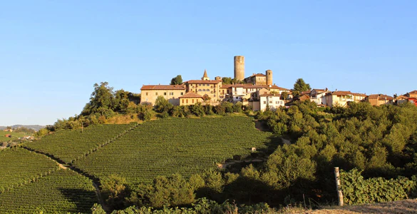 Vietti winery